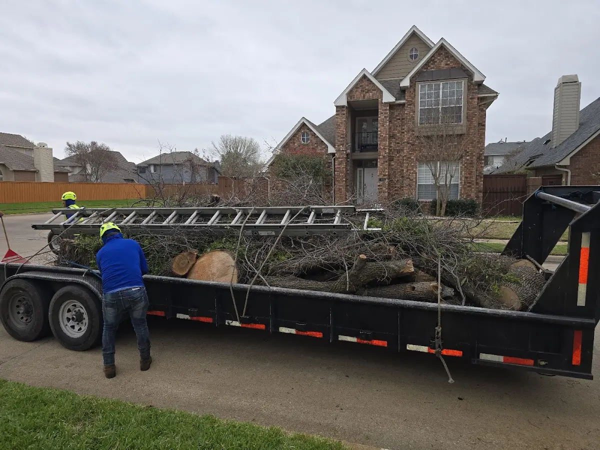 Expert Lot Clearing with proper safety equipment in Pryor